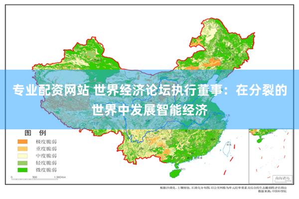 专业配资网站 世界经济论坛执行董事：在分裂的世界中发展智能经济