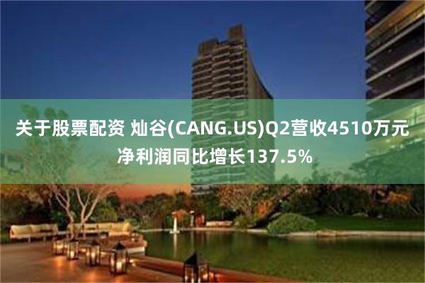 关于股票配资 灿谷(CANG.US)Q2营收4510万元 净利润同比增长137.5%