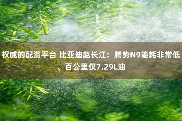 权威的配资平台 比亚迪赵长江：腾势N9能耗非常低、百公里仅7.29L油