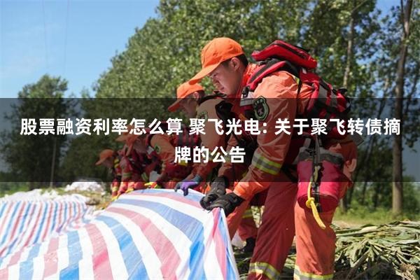 股票融资利率怎么算 聚飞光电: 关于聚飞转债摘牌的公告