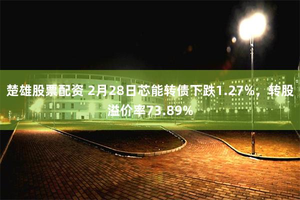 楚雄股票配资 2月28日芯能转债下跌1.27%，转股溢价率73.89%