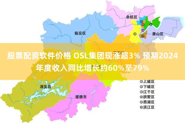 股票配资软件价格 OSL集团现涨超3% 预期2024年度收入同比增长约60%至79%